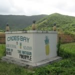 Black Pineapples Cades Bay Agricultural Station