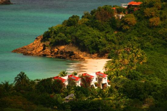 Antigua Vegetation Surrounds this Resort