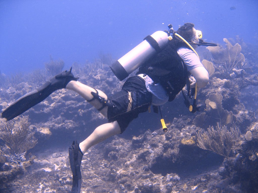 Antigua Diving