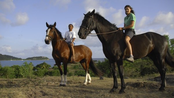Horse Riding Tours Antigua