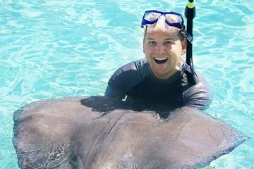 Stingray City Tour Antigua