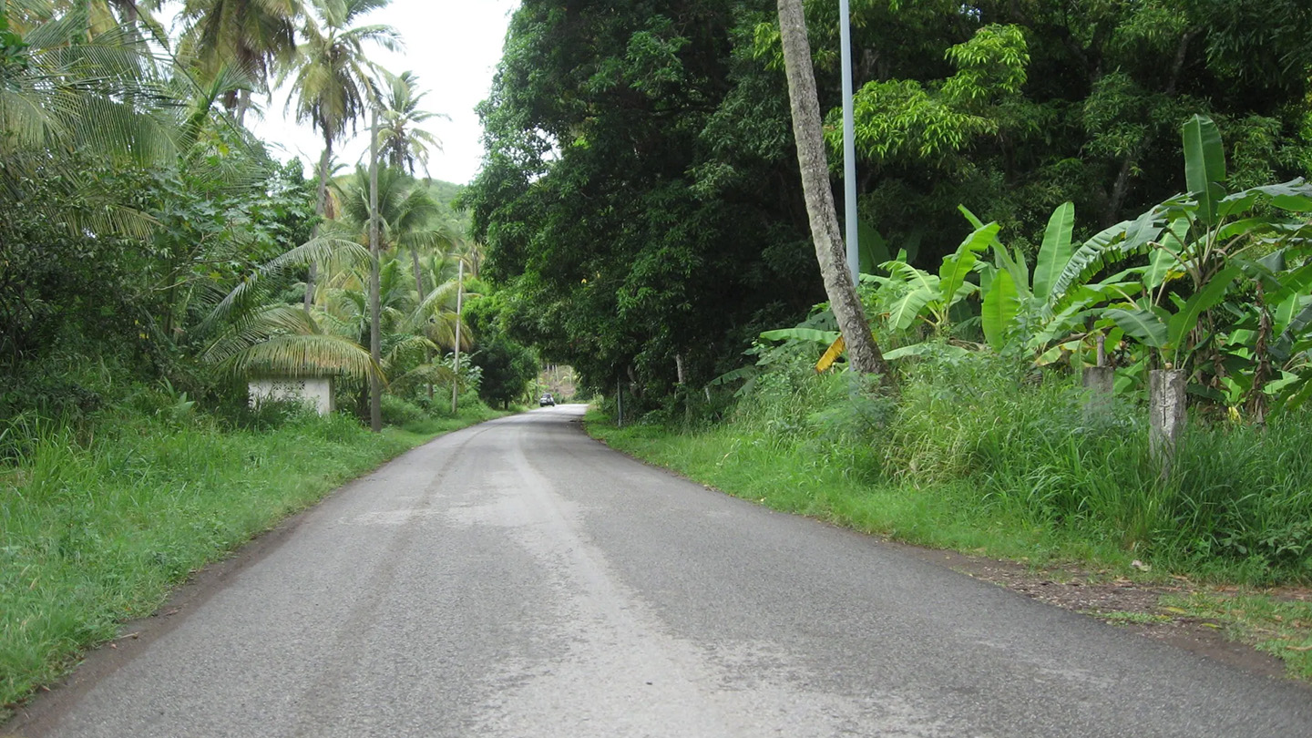15 Essential Tips for Driving in Antigua (2025 Travel Guide)